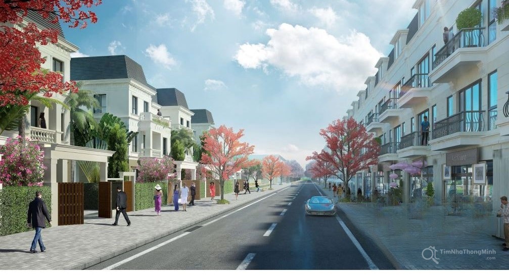 Chi tiết dự án