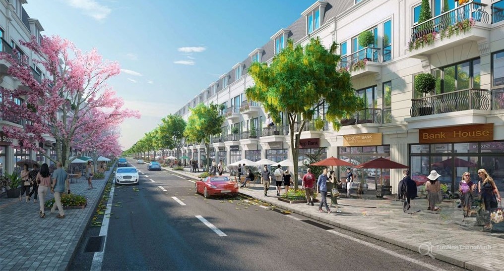 Chi tiết dự án