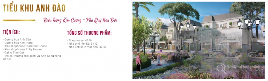Chi tiết dự án