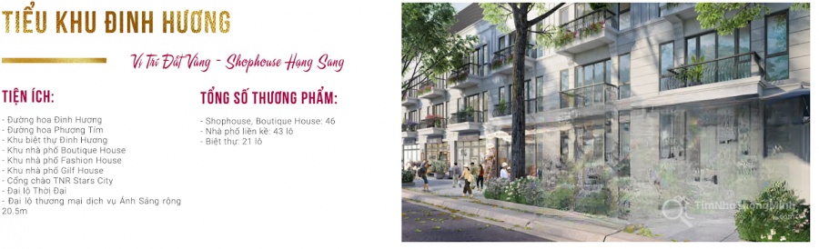 Chi tiết dự án