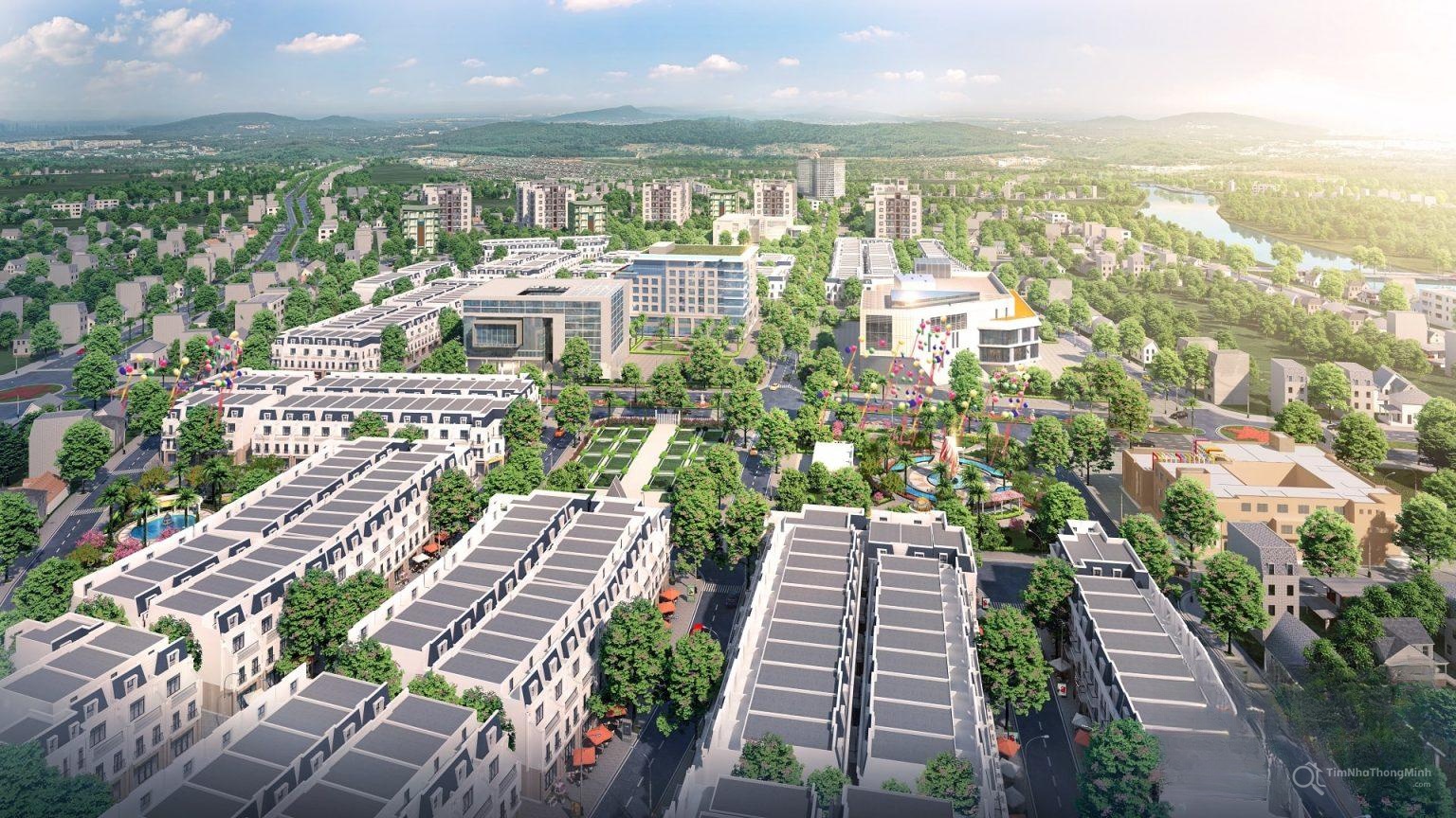 Chi tiết dự án