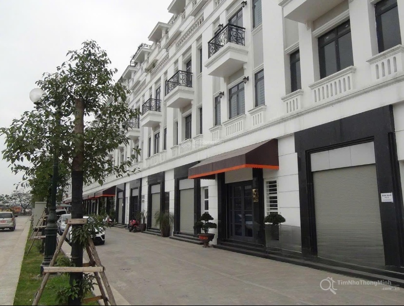 Chi tiết dự án
