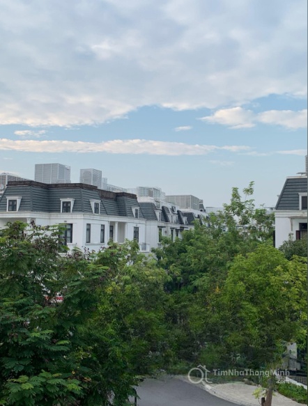 Chi tiết dự án