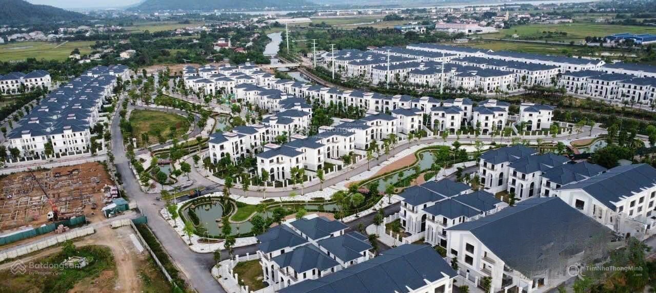 Chi tiết dự án