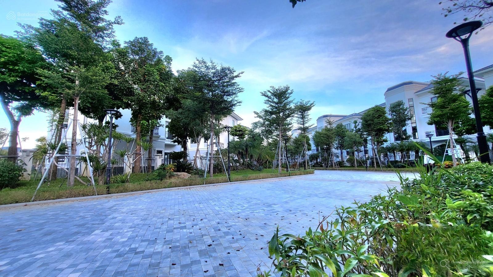 Chi tiết dự án