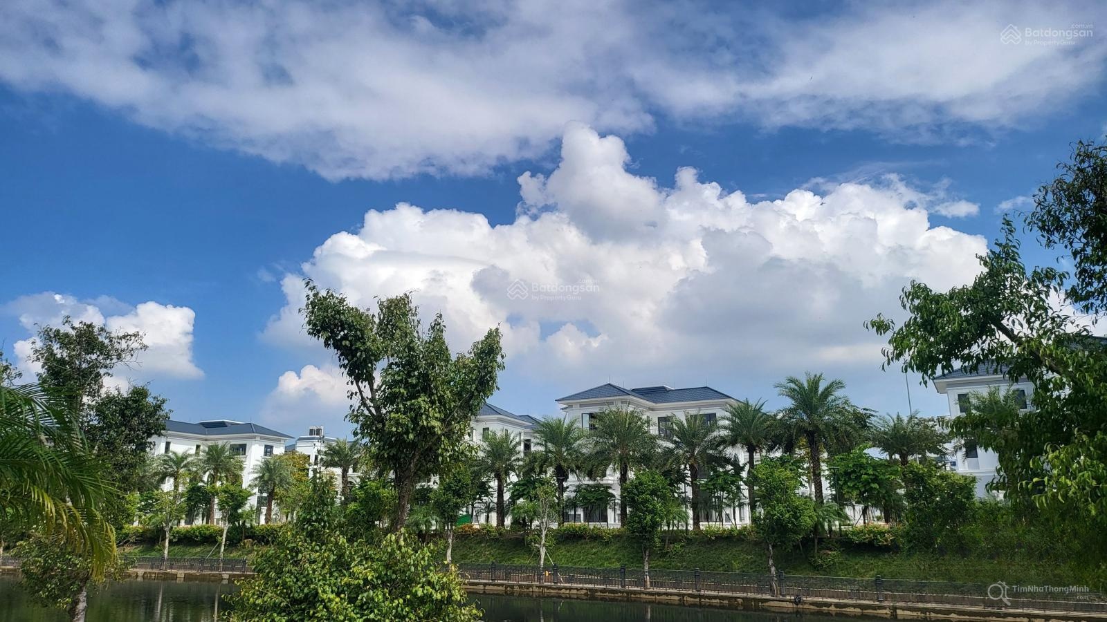 Chi tiết dự án