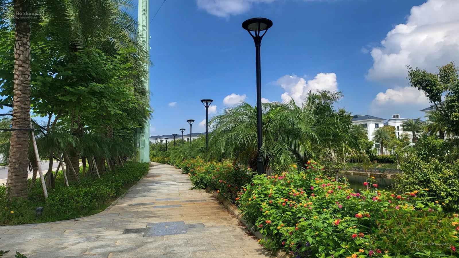 Chi tiết dự án