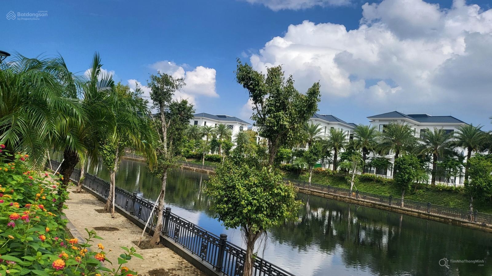 Chi tiết dự án