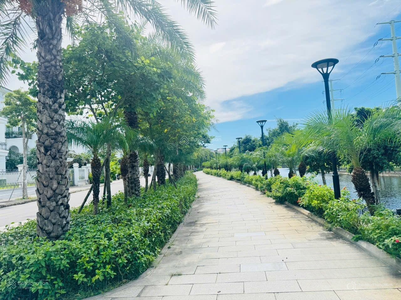 Chi tiết dự án