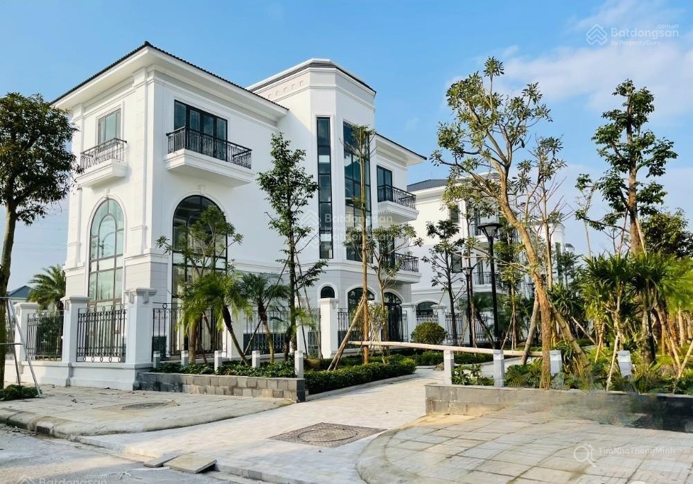 Chi tiết dự án