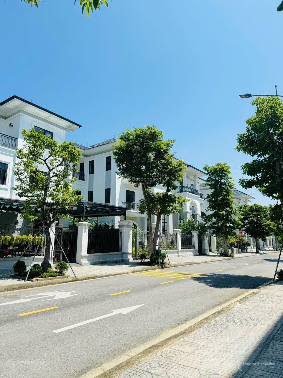 Chi tiết dự án