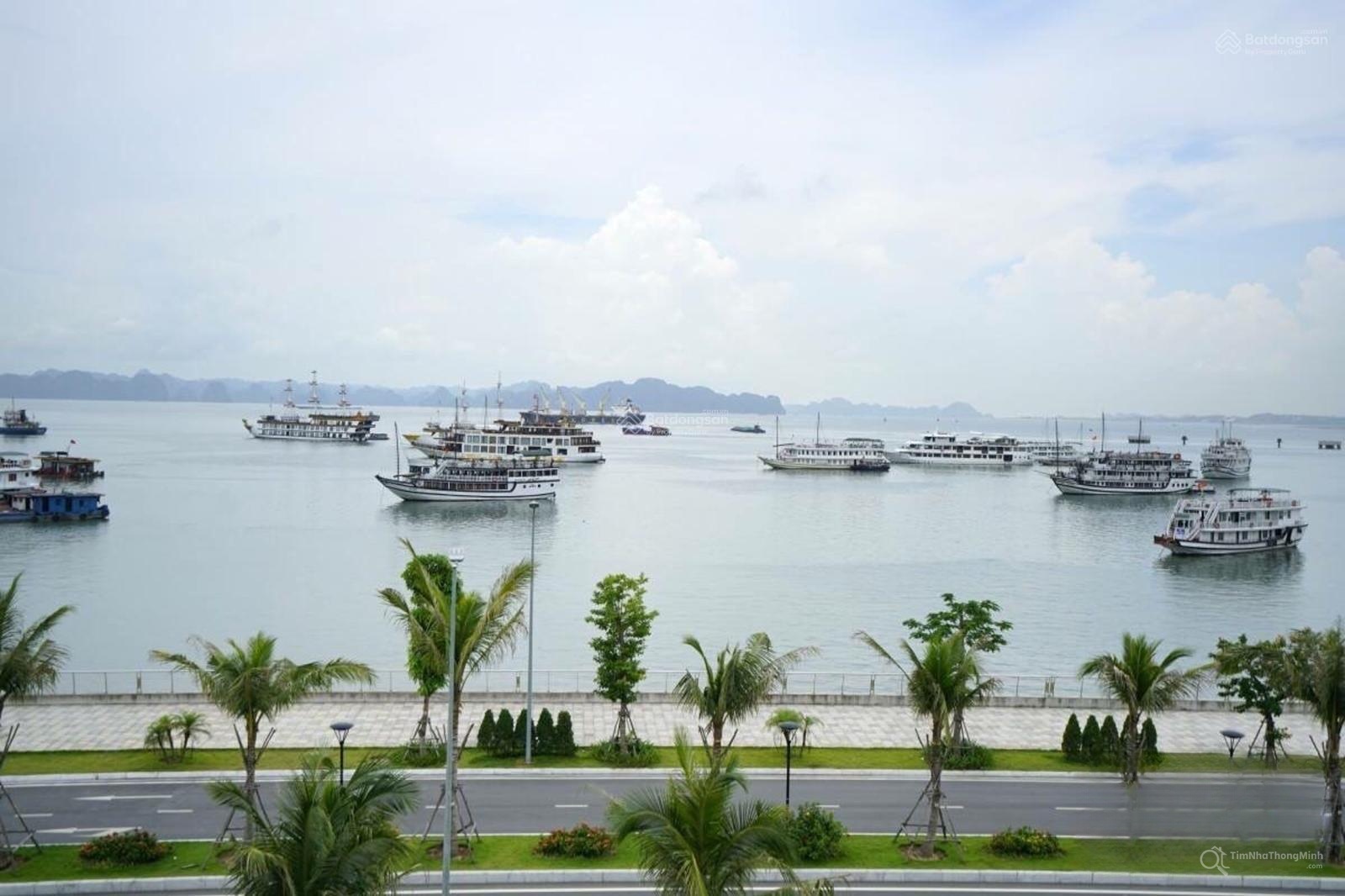 Hình ảnh chi tiết dự án