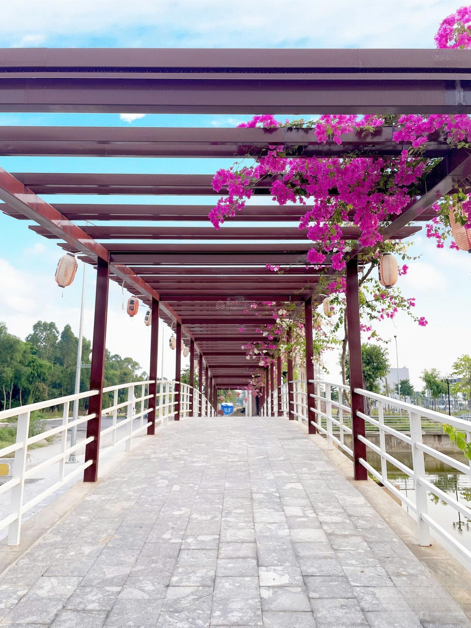 Hình ảnh chi tiết dự án