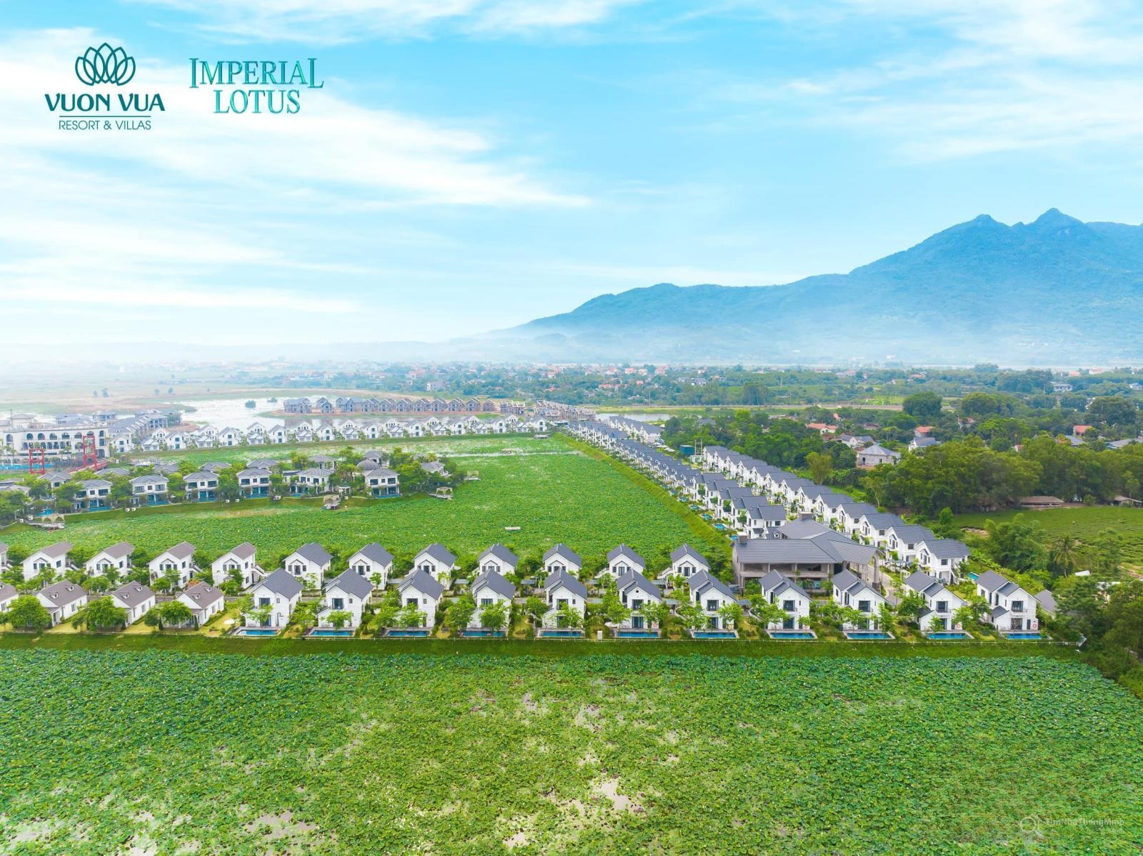 Chi tiết dự án