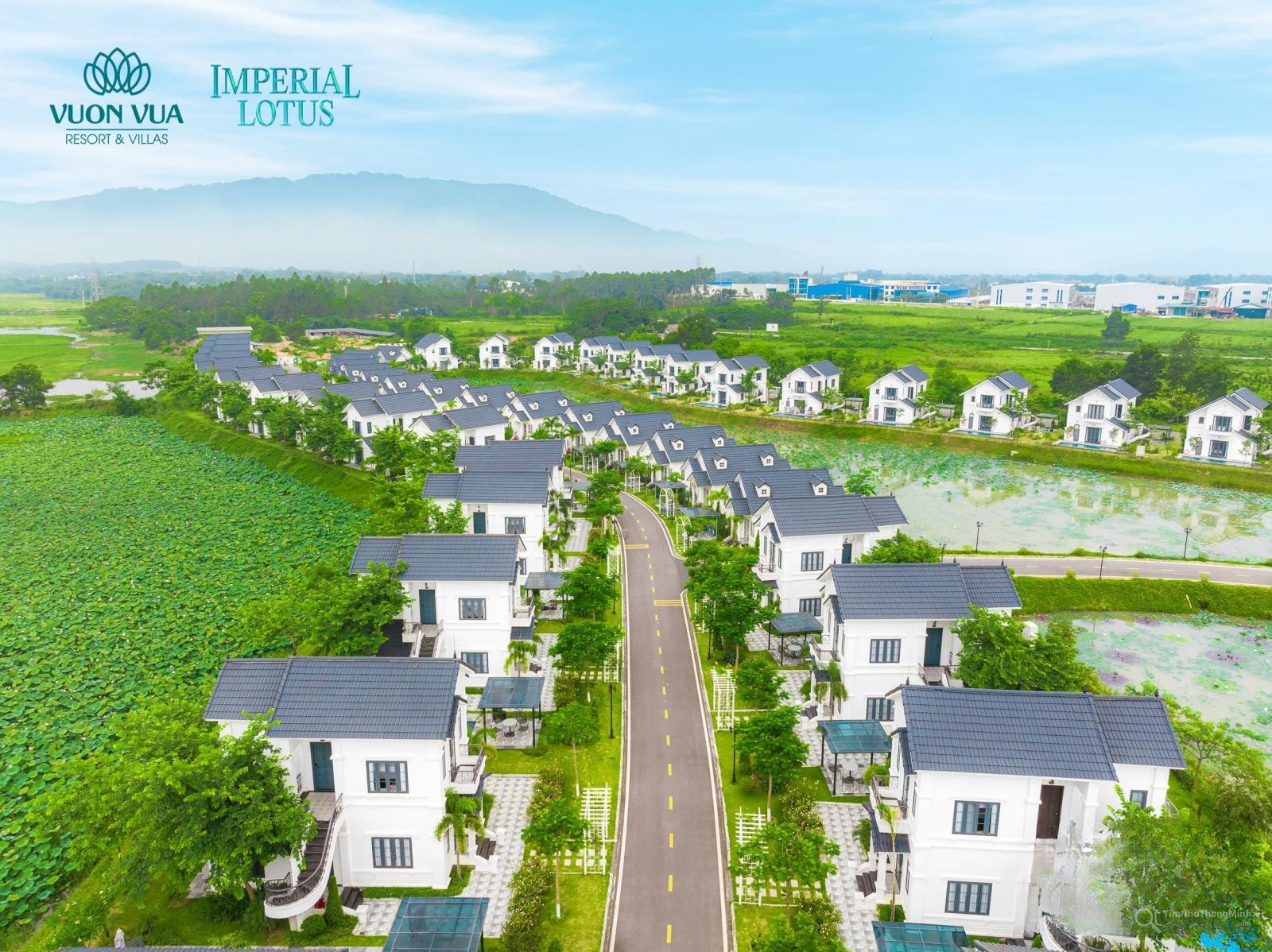 Chi tiết dự án