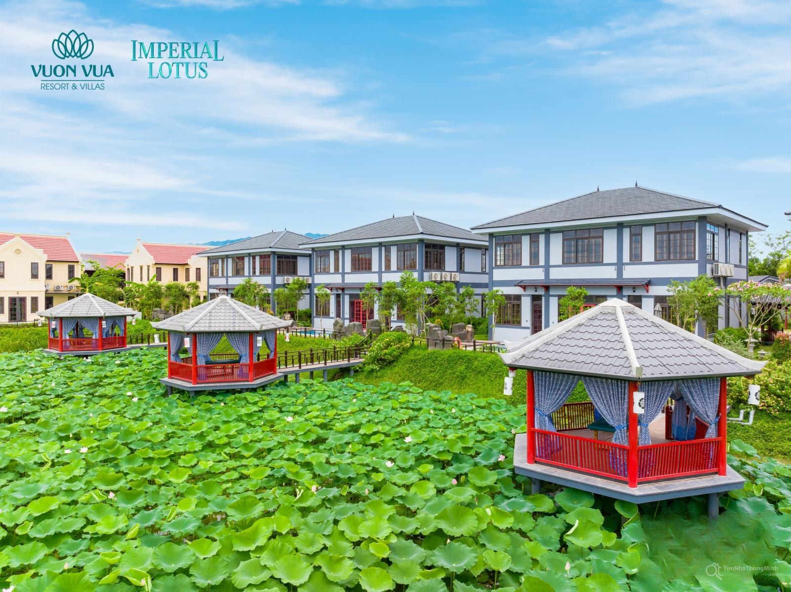Chi tiết dự án