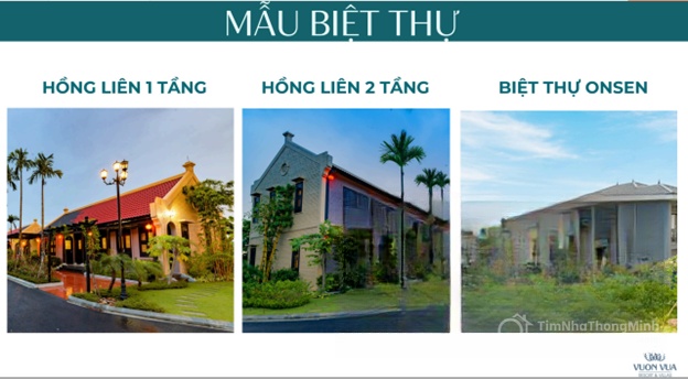 Chi tiết dự án
