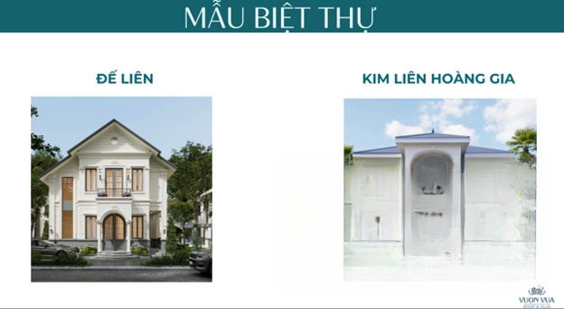 Chi tiết dự án