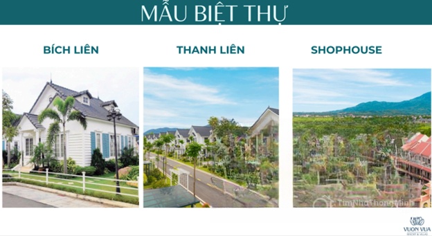 Chi tiết dự án
