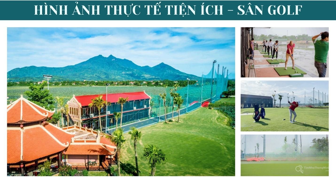 Chi tiết dự án