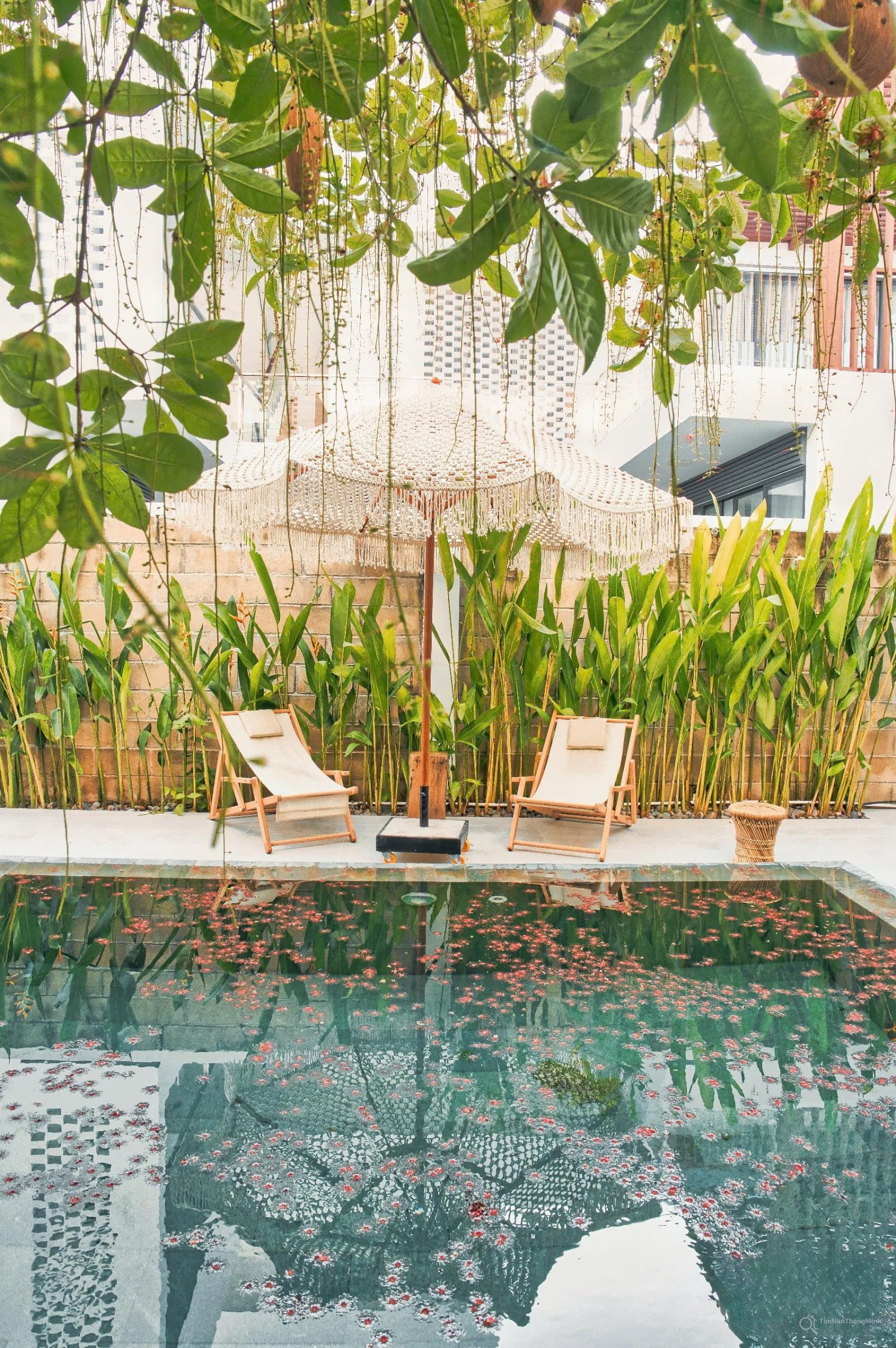 Chi tiết dự án