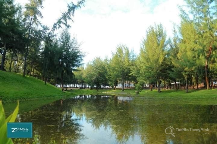 Chi tiết dự án