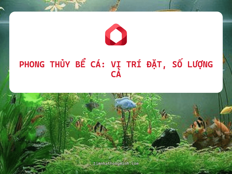 Phong Thủy Bể Cá: Vị Trí Đặt, Số Lượng Cá Và Loại Cá Hợp Mệnh