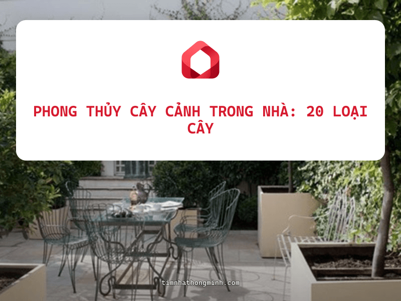Phong Thủy Cây Cảnh Trong Nhà: 20 Loại Cây Hút Tài Lộc Và Cách Bố Trí Đúng
